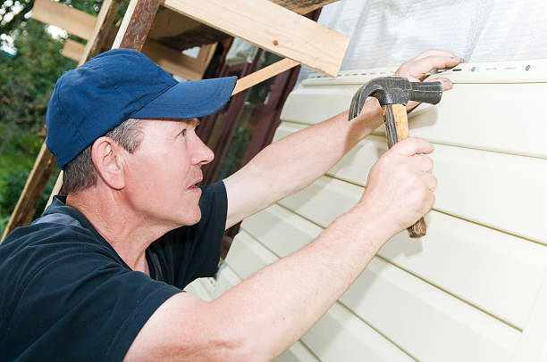 Best Brick Veneer Siding  in Ferrysburg, MI