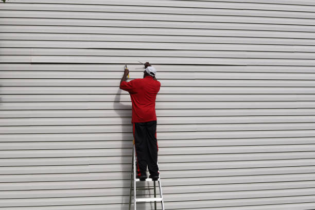 Professional Siding in Ferrysburg, MI