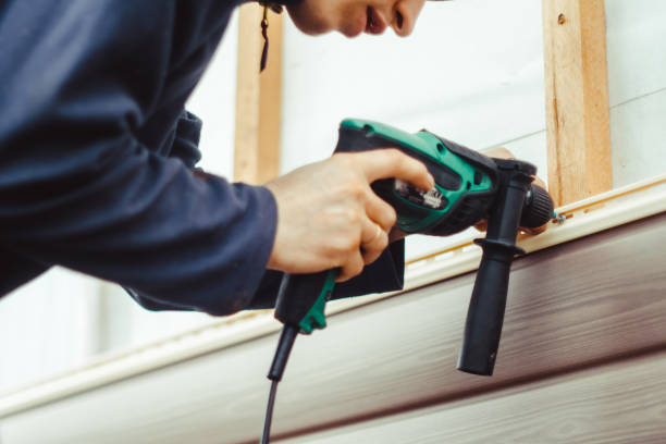 Affordable Siding Repair and Maintenance Services in Ferrysburg, MI